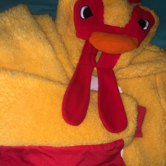 cedarwood state Other - Small fleece chicken costume